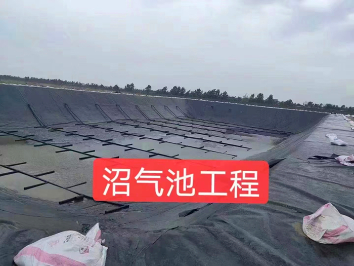 黑膜厭氧塘采用什么標準的土工膜合適？